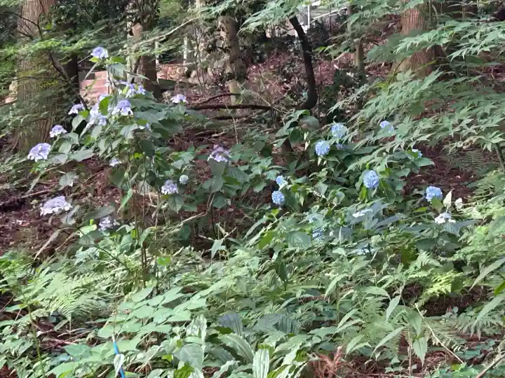 旦飯野神社(新潟県)