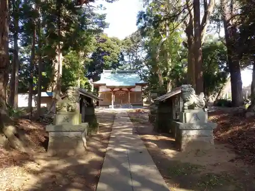 井上神社の狛犬