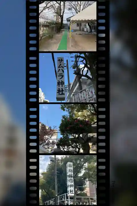 サムハラ神社の周辺