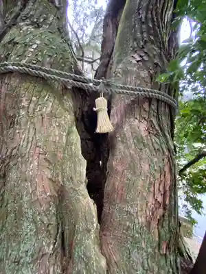 高岡神社(岡山県)