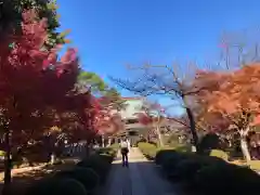 豪徳寺(東京都)