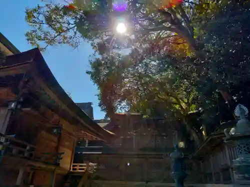 金刀比羅宮のその他建物