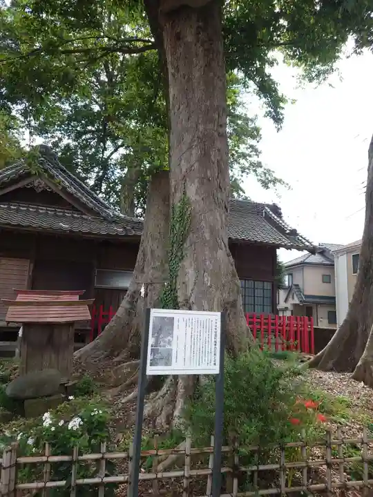 八枝神社の自然