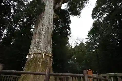 霧島神宮(鹿児島県)