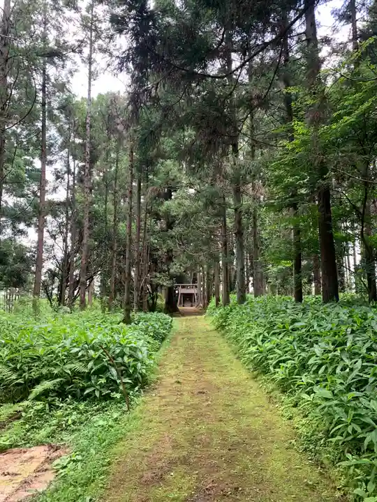 稲荷神社(千葉県)
