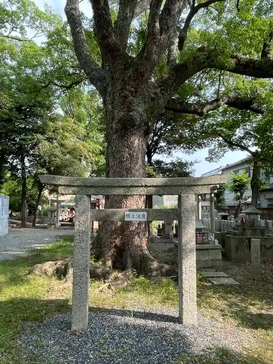 信太森神社(葛葉稲荷神社)(大阪府)