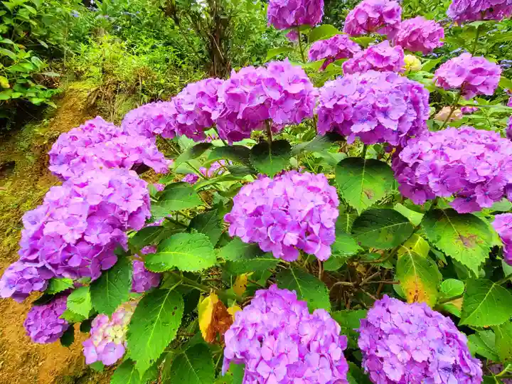 千光寺(福岡県)