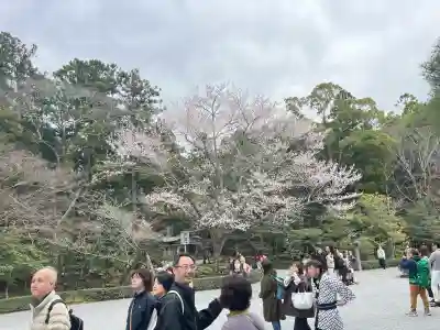 伊勢神宮内宮（皇大神宮）の{uncategorized: "未分類", other: "その他", undefined: "問題あり", building: "その他建物", grave: "お墓", sacred_gate: "鳥居", guardian: "狛犬", statue: "像", buddha: "仏像", history: "歴史", nature: "自然", garden: "庭園", animal: "動物", pagoda: "塔", temizu: "手水舎", mountain_gate: "山門・神門", sanctuary: "本殿・本堂", subordinate: "末社・摂社", art: "芸術", scenery: "景色", jizo: "地蔵", ema: "絵馬", goshuin: "御朱印", omikuji: "おみくじ", items: "授与品その他", amulet: "お守り", goshuincho: "御朱印帳", eats: "食事", festival: "お祭り", votive_dance: "神楽", shichigosan: "七五三参", wedding: "結婚式", experience: "体験その他", initially: "初詣", around: "周辺", anti_infection: "感染症対策"}