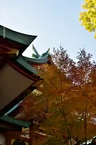 多摩川浅間神社の本殿・本堂