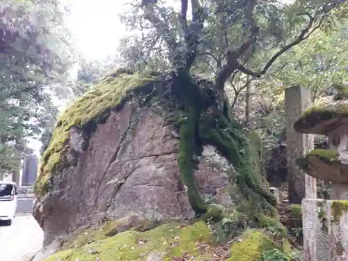 磐船神社(大阪府)