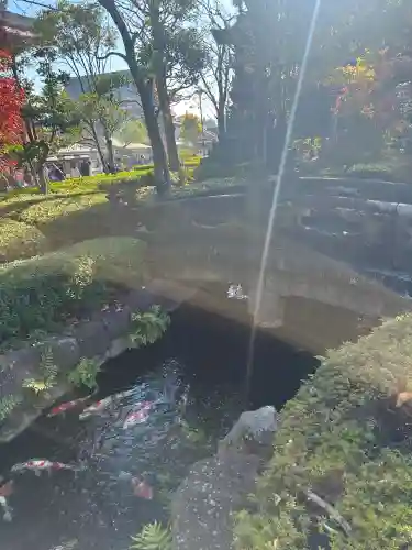 浅草寺(東京都)