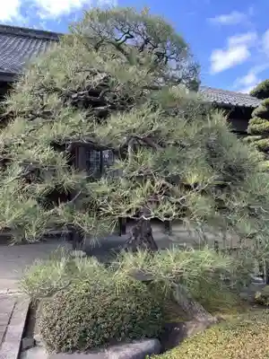 弘誓寺（西ノ京）(京都府)