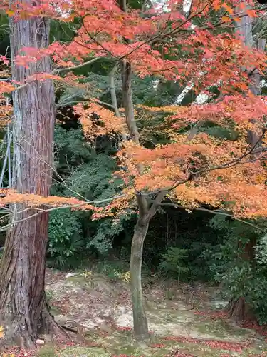 東福禅寺（東福寺）(京都府)