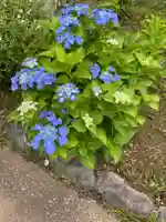 真常寺(千葉県)