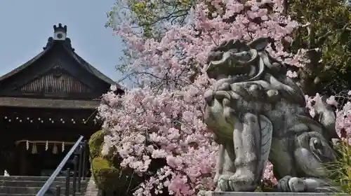 建勲神社の狛犬