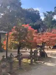 手向山八幡宮(奈良県)