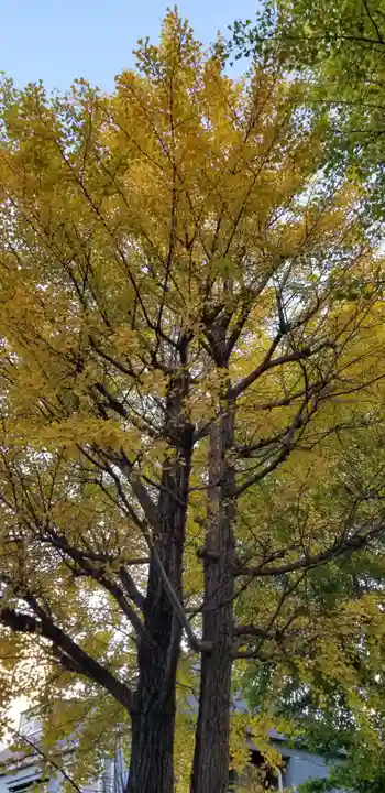 高木神社の自然