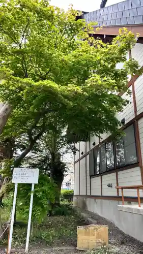 函館黒住神社(北海道)