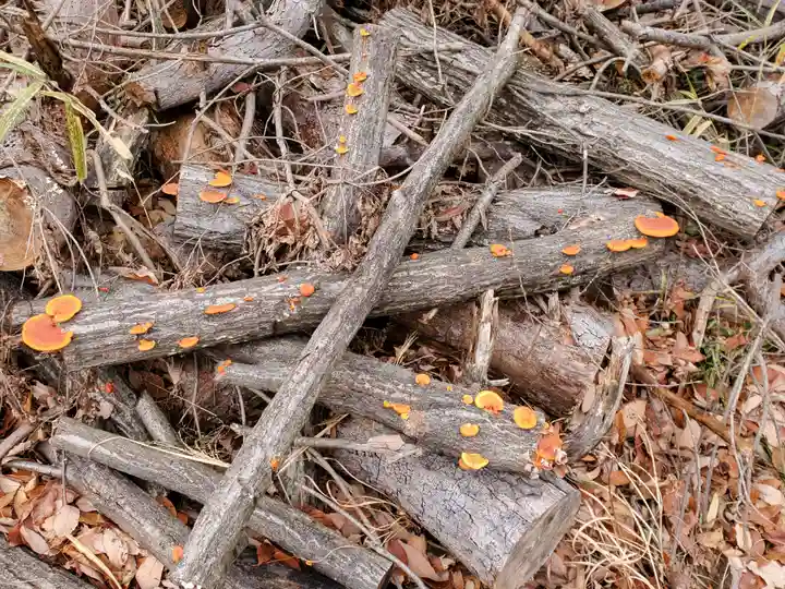 道了大権現(栃木県)