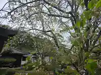 蓮花院(和歌山県)