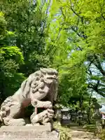 神炊館神社 ⁂奥州須賀川総鎮守⁂の狛犬