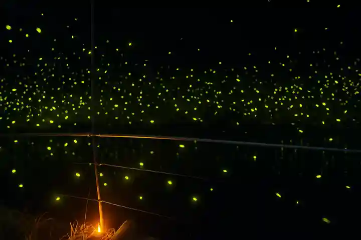 木舟山 順教寺(広島県)