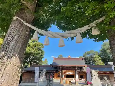 亀ケ池八幡宮のその他建物