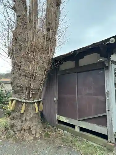 蛭子神社の自然