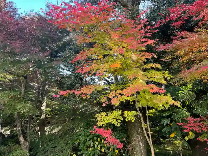善水寺(滋賀県)