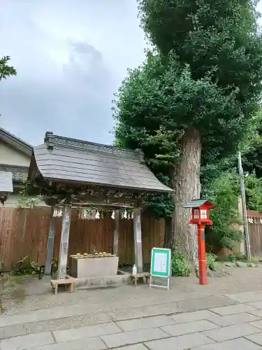 鷲宮神社(埼玉県)