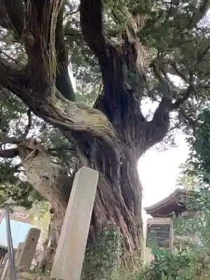 城願寺(神奈川県)