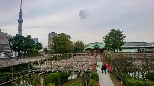 亀戸天神社(東京都)