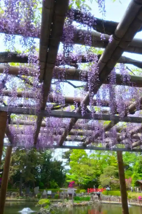 越ヶ谷久伊豆神社(埼玉県)
