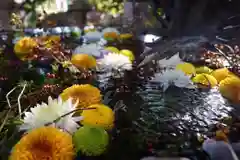 東海市熊野神社の手水