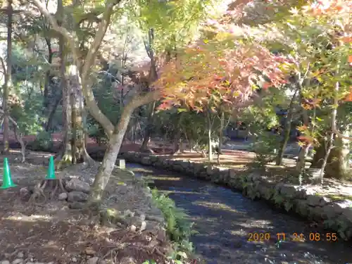 賀茂別雷神社（上賀茂神社）の庭園