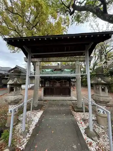 八幡社（児子八幡社）の{uncategorized: "未分類", other: "その他", undefined: "問題あり", building: "その他建物", grave: "お墓", sacred_gate: "鳥居", guardian: "狛犬", statue: "像", buddha: "仏像", history: "歴史", nature: "自然", garden: "庭園", animal: "動物", pagoda: "塔", temizu: "手水舎", mountain_gate: "山門・神門", sanctuary: "本殿・本堂", subordinate: "末社・摂社", art: "芸術", scenery: "景色", jizo: "地蔵", ema: "絵馬", goshuin: "御朱印", omikuji: "おみくじ", items: "授与品その他", amulet: "お守り", goshuincho: "御朱印帳", eats: "食事", festival: "お祭り", votive_dance: "神楽", shichigosan: "七五三参", wedding: "結婚式", experience: "体験その他", initially: "初詣", around: "周辺", anti_infection: "感染症対策"}