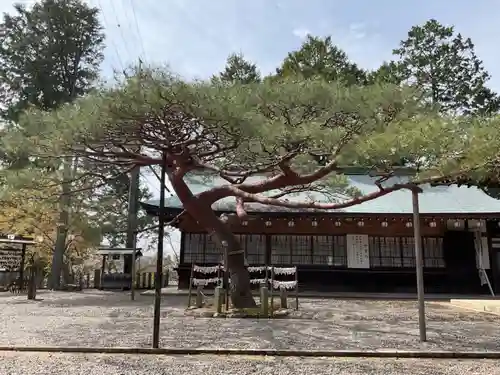 尾張冨士大宮浅間神社のその他建物