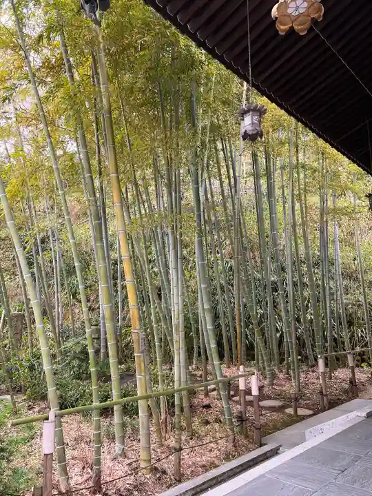 長谷寺(神奈川県)