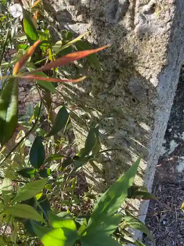 観音寺のその他建物