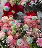 札幌諏訪神社の手水舎