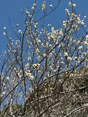 長楽寺(静岡県)