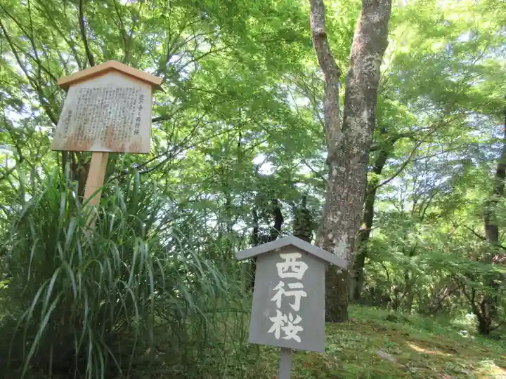 勝持寺(花の寺)のその他建物