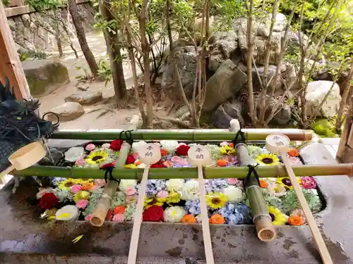 彦島八幡宮(山口県)