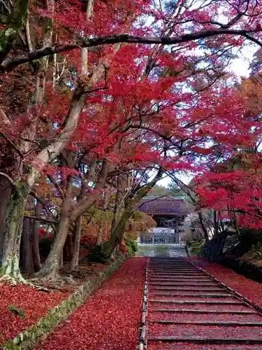 毘沙門堂門跡(京都府)