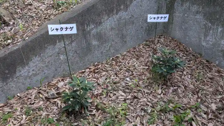 富岡天満宮の地蔵