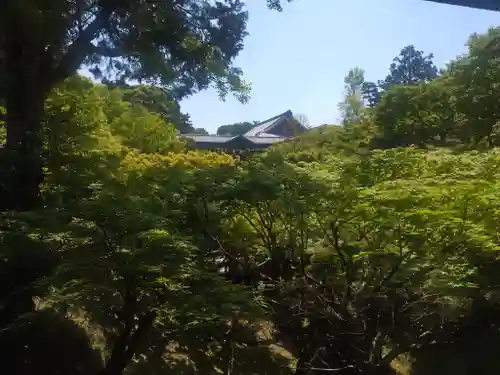 東福禅寺（東福寺）(京都府)