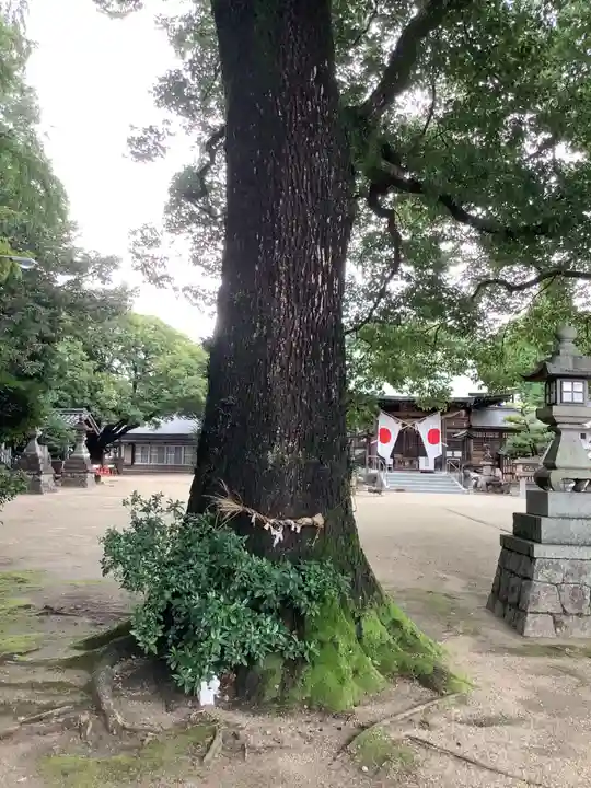 若宮八幡社(力長町)(愛知県)