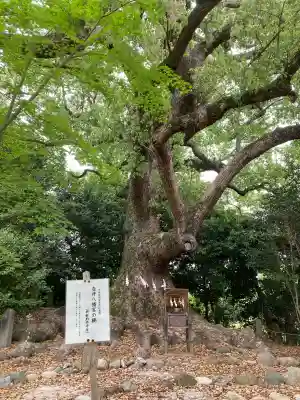壺井八幡宮の{uncategorized: "未分類", other: "その他", undefined: "問題あり", building: "その他建物", grave: "お墓", sacred_gate: "鳥居", guardian: "狛犬", statue: "像", buddha: "仏像", history: "歴史", nature: "自然", garden: "庭園", animal: "動物", pagoda: "塔", temizu: "手水舎", mountain_gate: "山門・神門", sanctuary: "本殿・本堂", subordinate: "末社・摂社", art: "芸術", scenery: "景色", jizo: "地蔵", ema: "絵馬", goshuin: "御朱印", omikuji: "おみくじ", items: "授与品その他", amulet: "お守り", goshuincho: "御朱印帳", eats: "食事", festival: "お祭り", votive_dance: "神楽", shichigosan: "七五三参", wedding: "結婚式", experience: "体験その他", initially: "初詣", around: "周辺", anti_infection: "感染症対策"}