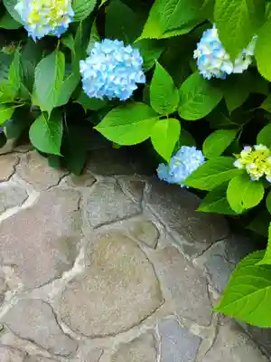 雲昌寺(秋田県)