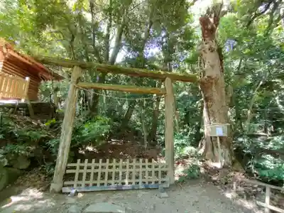 氣多大社の鳥居